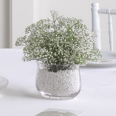 Baby S Breath Centerpiece Diy Flower Tutorials Florist Supplies