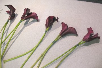 Calla Lily Bridal Bouquet - Easy DIY Wedding Flower Tutorials