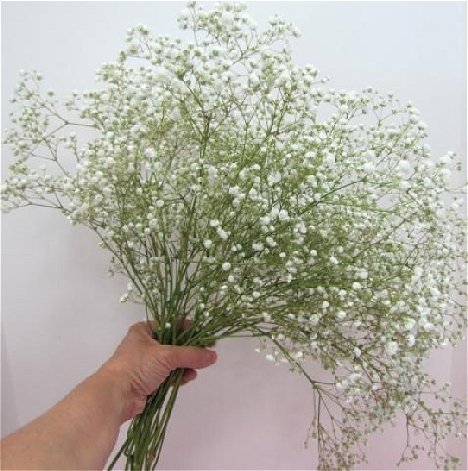 Baby's Breath Pomander - DIY Wedding Flower Tutorials