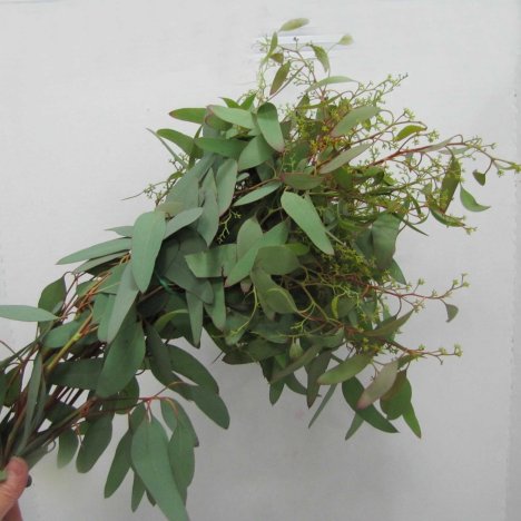 Using Seeded Eucalyptus in a Corsage - Easy DIY Wedding Flower Tutorials
