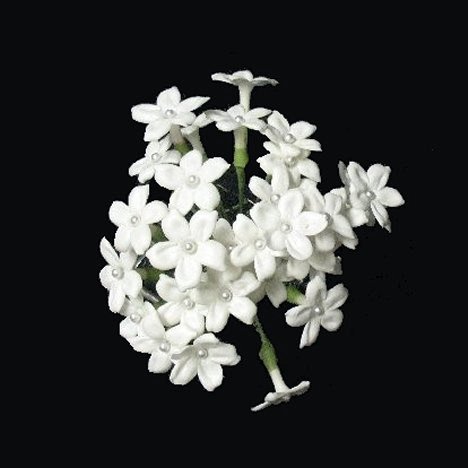 Stephanotis Bouquets - Easy DIY Wedding Flower Tutorials