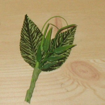 Wiring Boutonniere Greenery - Easy DIY Wedding Flower Tutorials